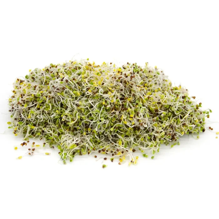 Semi da germoglio – Rapa Marshmallow - immagine 2