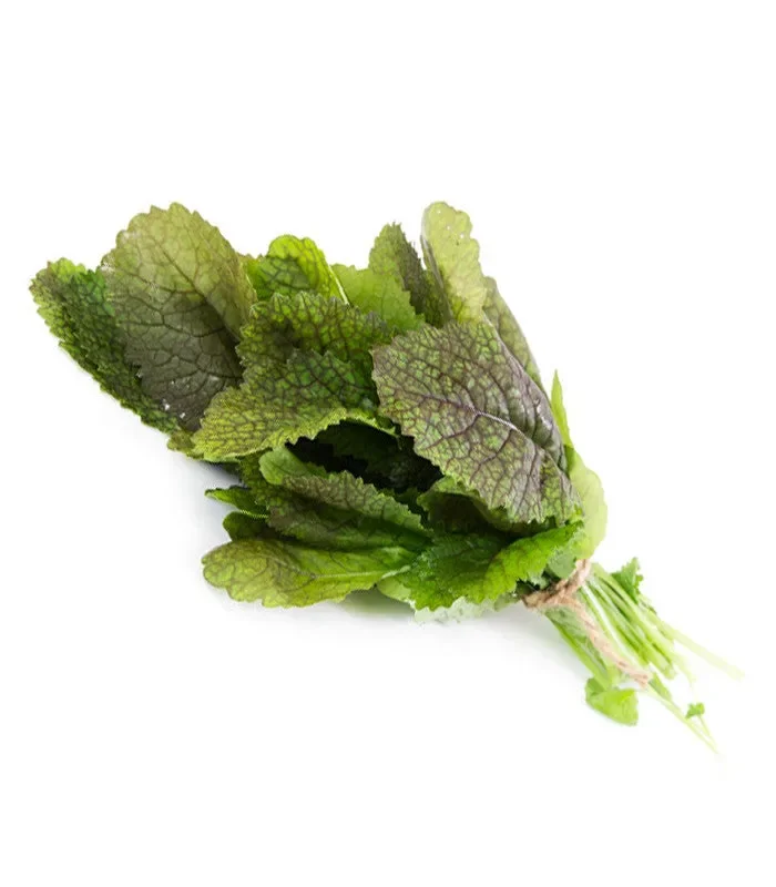 Semi da germoglio – Senape rossa Kiss - immagine 3