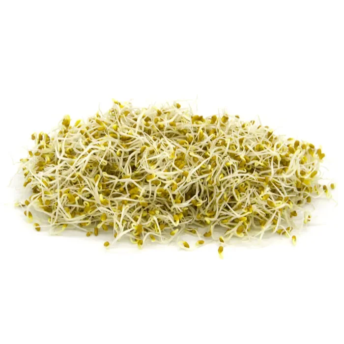 Semi da germoglio – Trifoglio incarnato Graal - immagine 2