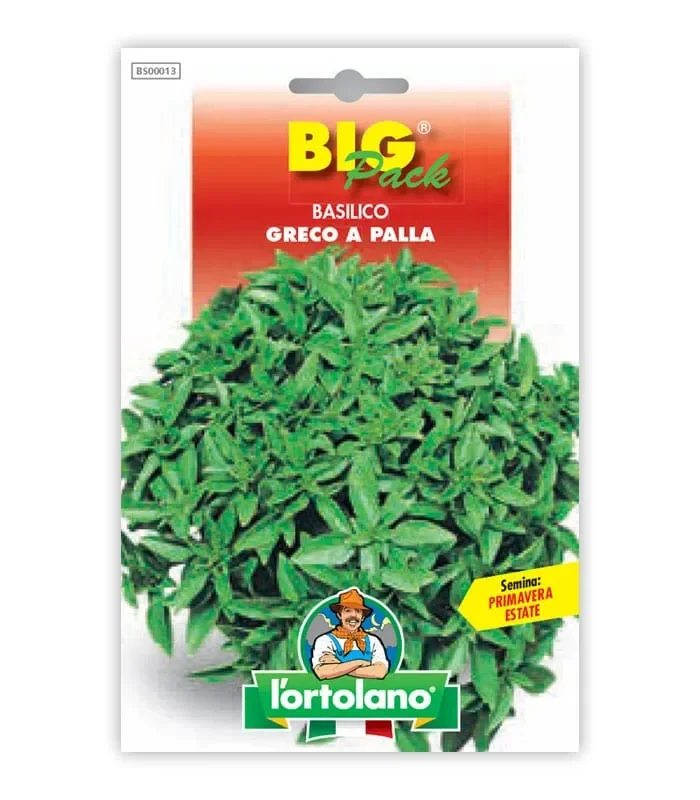 Semi da orto – Basilico Greco a Palla Sconti