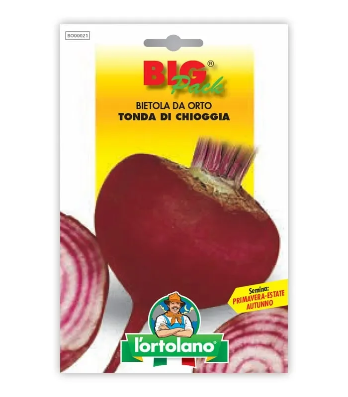 Semi da orto – Bietola da Orto Tonda di Chioggia