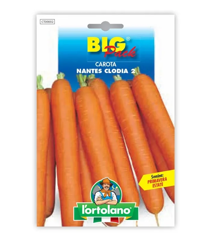 Semi da orto – Carota Nantes Clodia 2 In saldo