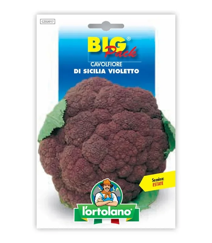 Semi da orto – Cavolfiore di Sicilia Violetto