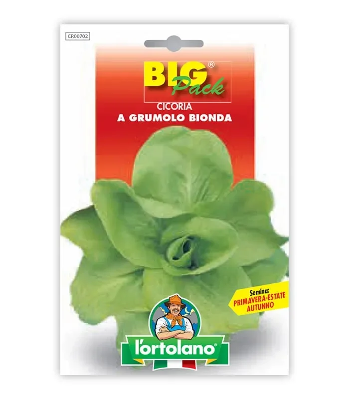 Semi da orto – Cicoria a Grumolo Bionda