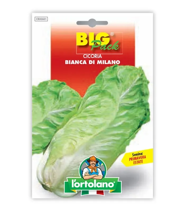 Semi da orto – Cicoria Bianca di Milano Online ora