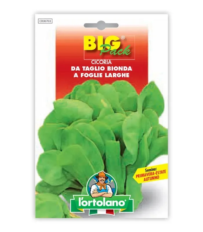 Semi da orto – Cicoria da Taglio Bionda a Foglie Larghe In saldo