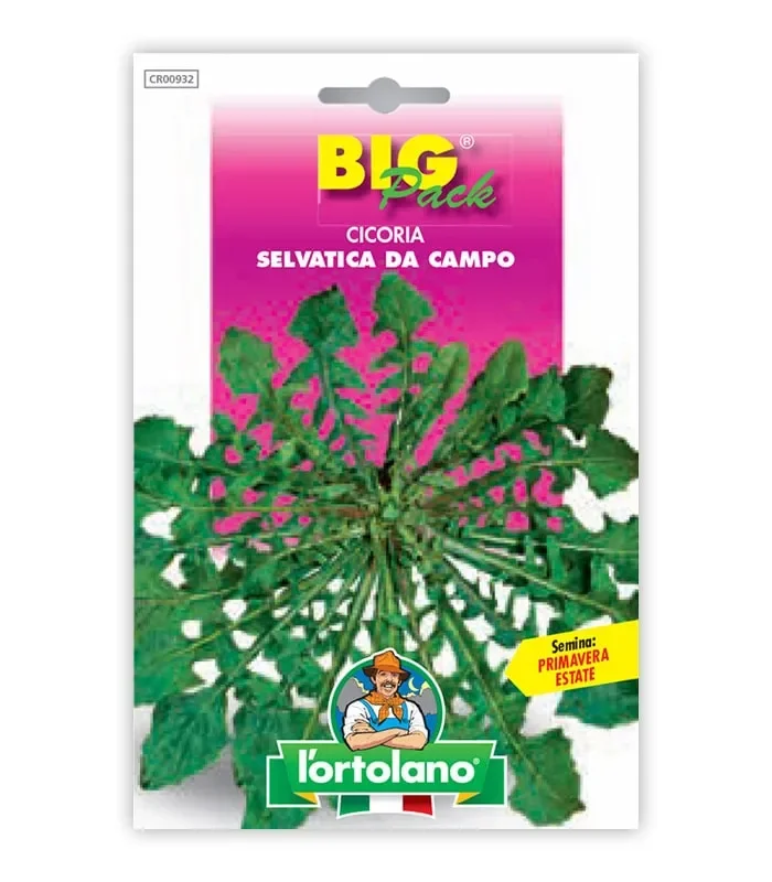 Semi da orto – Cicoria Selvatica da Campo