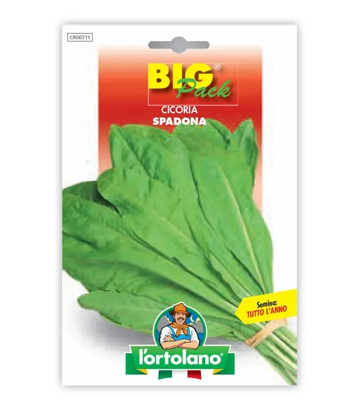 Semi da orto – Cicoria Spadona