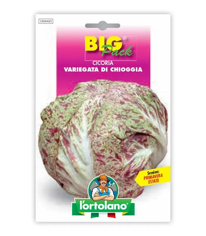 Semi da orto – Cicoria Variegata di Chioggia Vendita calda online