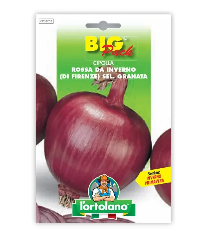 Semi da orto – Cipolla Rossa da Inverno (di Firenze) sel. Granata