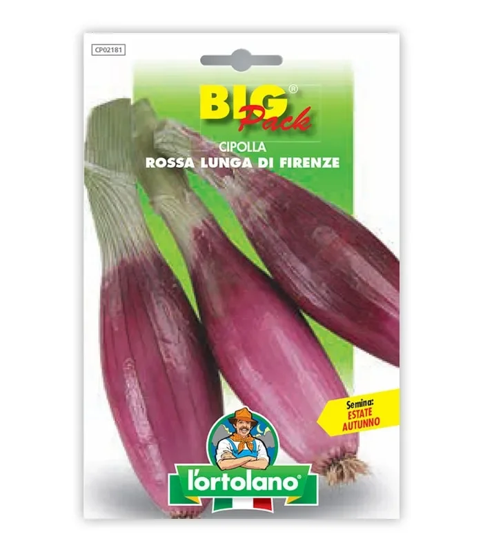 Semi da orto – Cipolla Rossa Lunga di Firenze Vendita calda