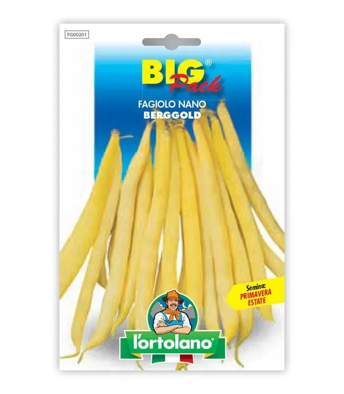 Semi da orto – Fagiolo Nano Berggold seme bianco