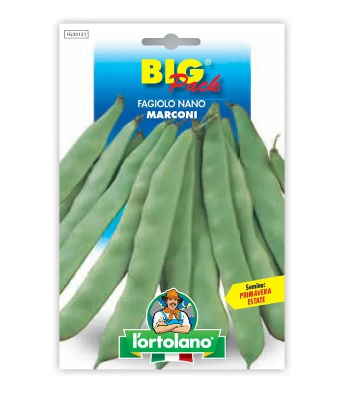 Semi da orto – Fagiolo Nano Marconi seme nero