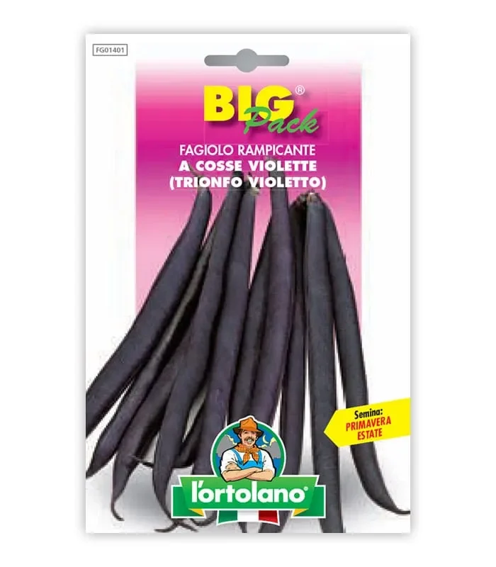 Semi da orto – Fagiolo Rampicante a Cosse Violette (Trionfo Violetto)