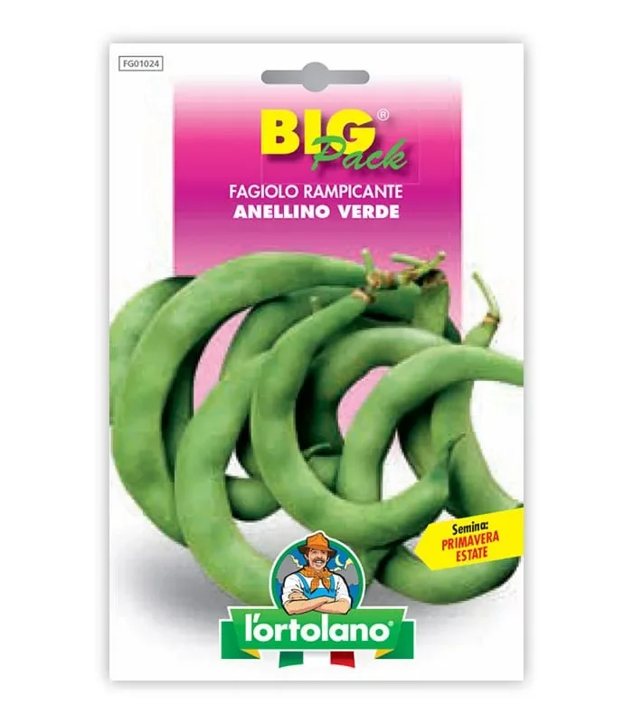 Semi da orto – Fagiolo Rampicante Anellino Verde seme caffelatte