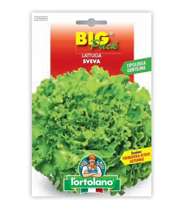 Semi da orto – Lattuga Sveva