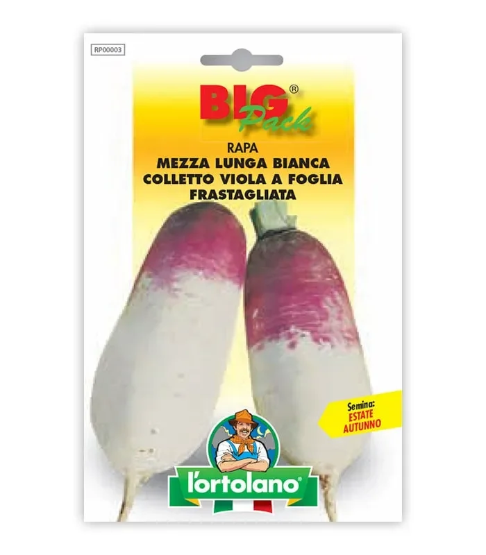 Semi da orto – Rapa Mezza Lunga Bianca Colletto Viola a F. Frastagliata Online
