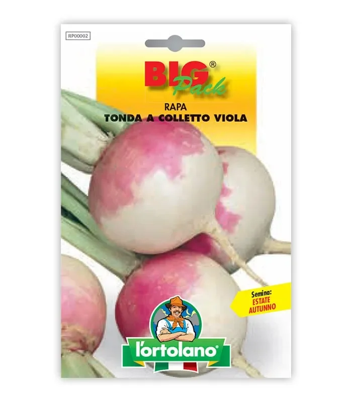 Semi da orto – Rapa Tonda a Colletto Viola Online