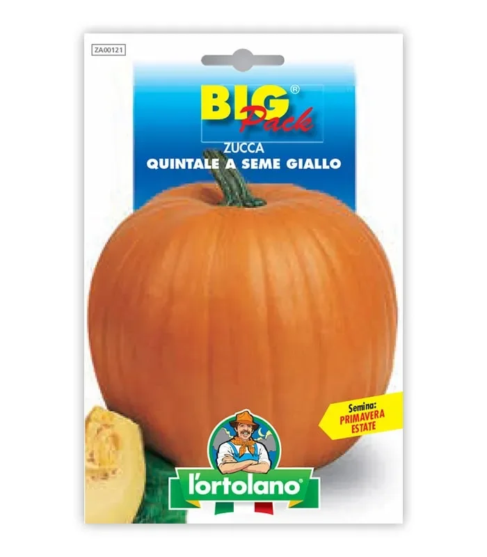 Semi da orto – Zucca Quintale seme giallo