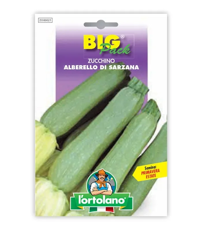 Semi da orto – Zucchino Alberello di Sarzana