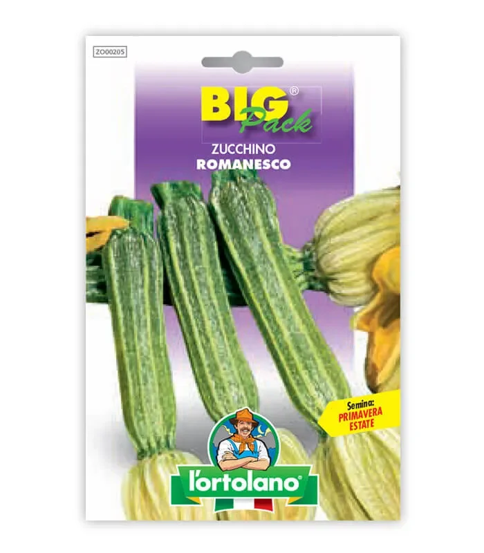 Semi da orto – Zucchino Romanesco