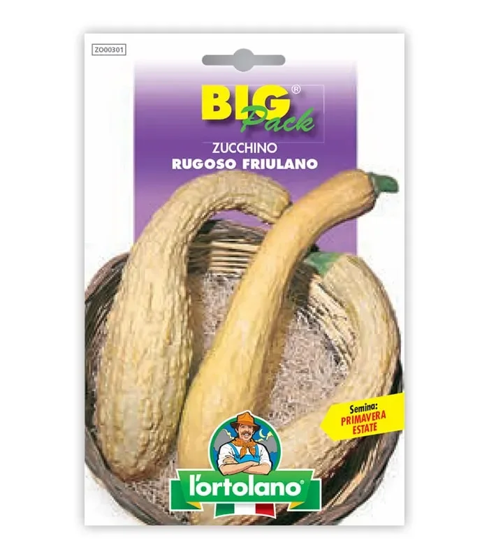 Semi da orto – Zucchino Rugoso Friulano