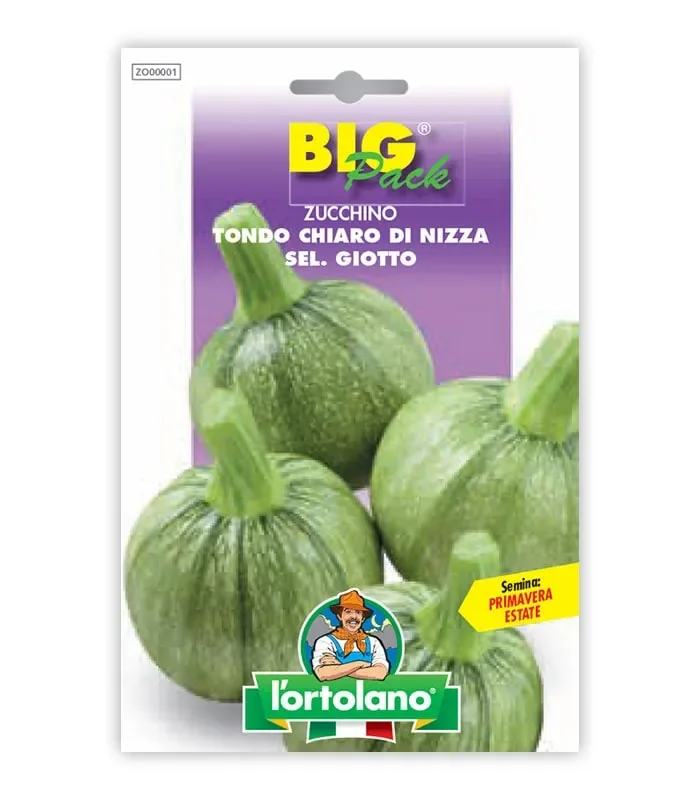 Semi da orto – Zucchino Tondo Chiaro di Nizza sel. Giotto