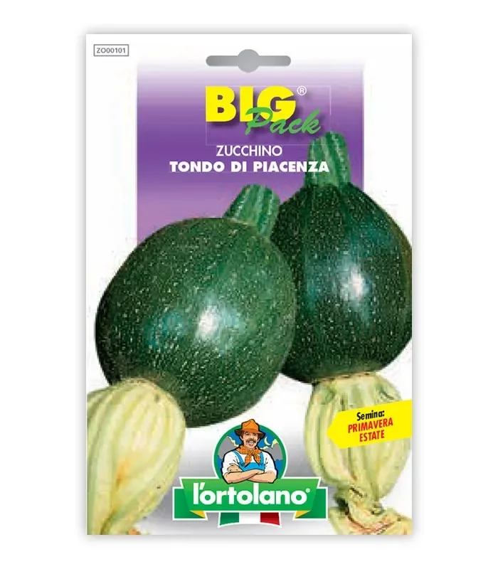 Semi da orto – Zucchino Tondo di Piacenza