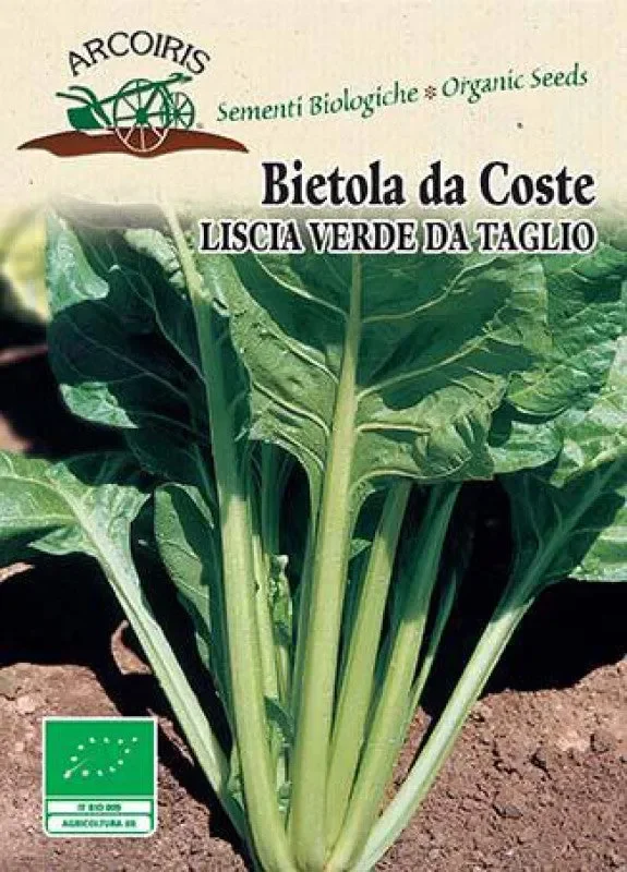 Semi da orto bio – Bietola da coste Liscia verde da taglio Sconti