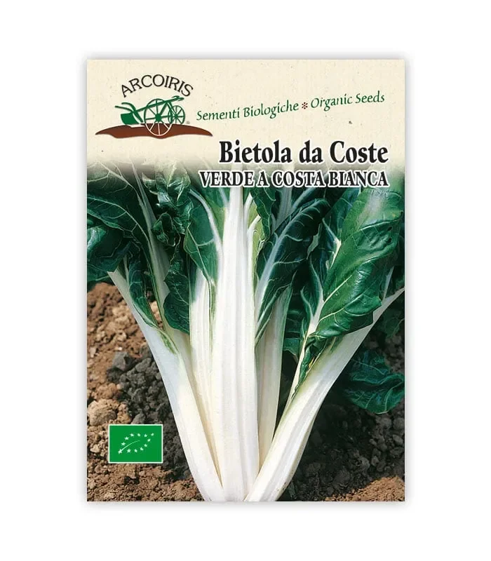 Semi da orto bio – Bietola da coste Verde a costa bianca