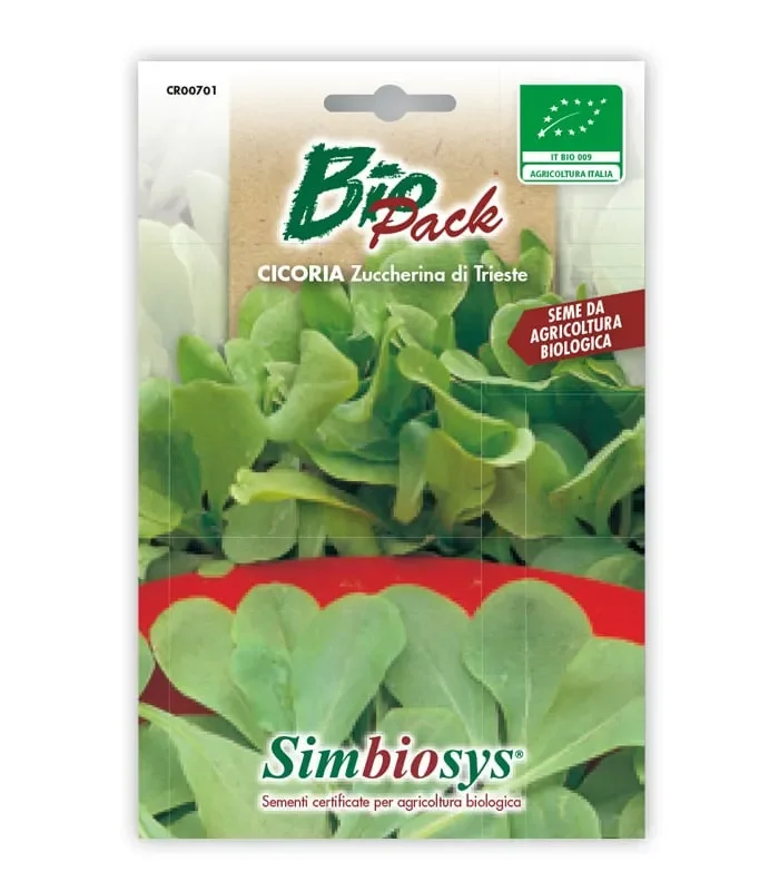 Semi da orto bio – Cicoria Zuccherina di Trieste