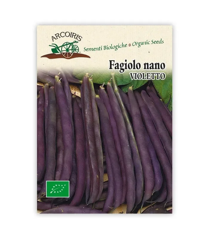 Semi da orto bio – Fagiolo Nano violetto