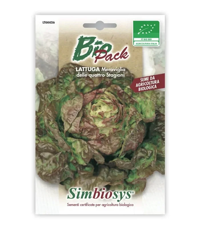 Semi da orto bio – Lattuga Meraviglia delle 4 stagioni