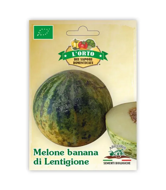 Semi da orto bio – Melone banana di Lentigione Moda