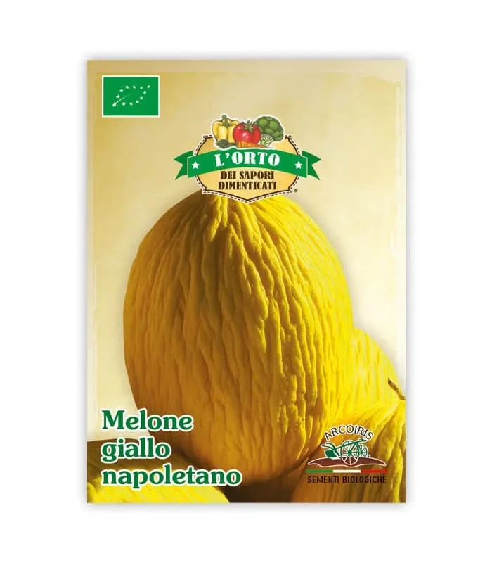 Semi da orto bio – Melone Giallo napoletano
