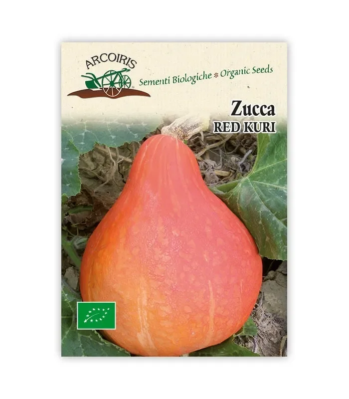 Semi da orto bio – Zucca Red Kuri