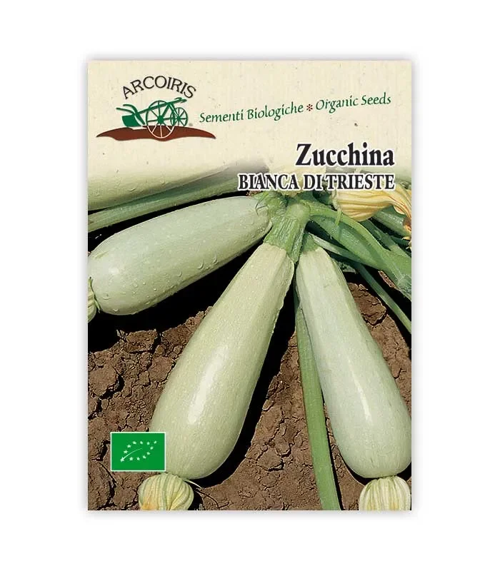 Semi da orto bio – Zucchina Bianca di Trieste
