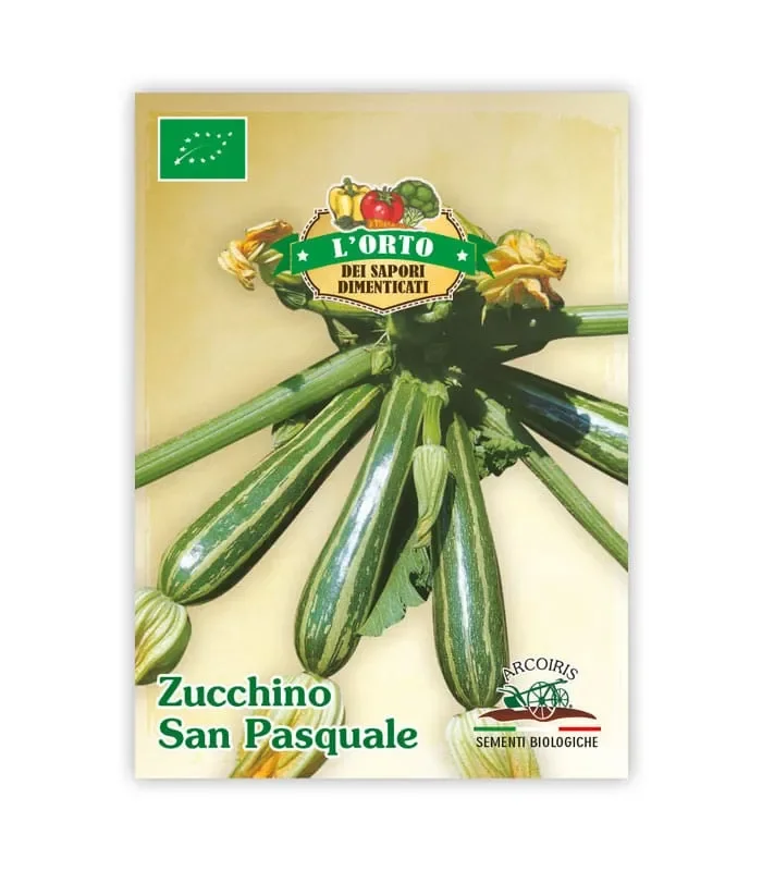 Semi da orto bio – Zucchino San Pasquale