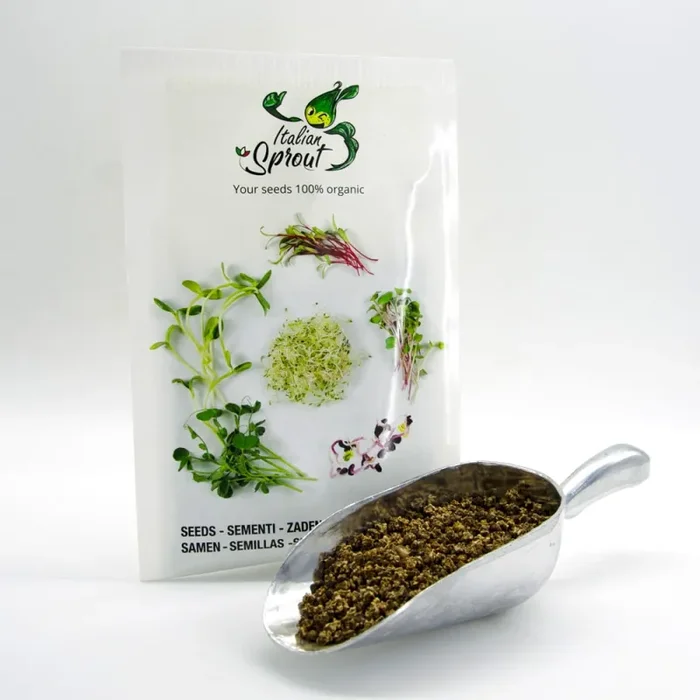 Semi per microgreens – Bieta Bull’s Blood Granada - immagine 3
