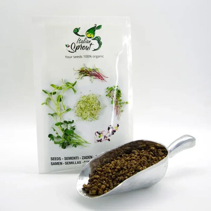 Semi per microgreens – Bietola rossa Sunset Saldi - immagine 3