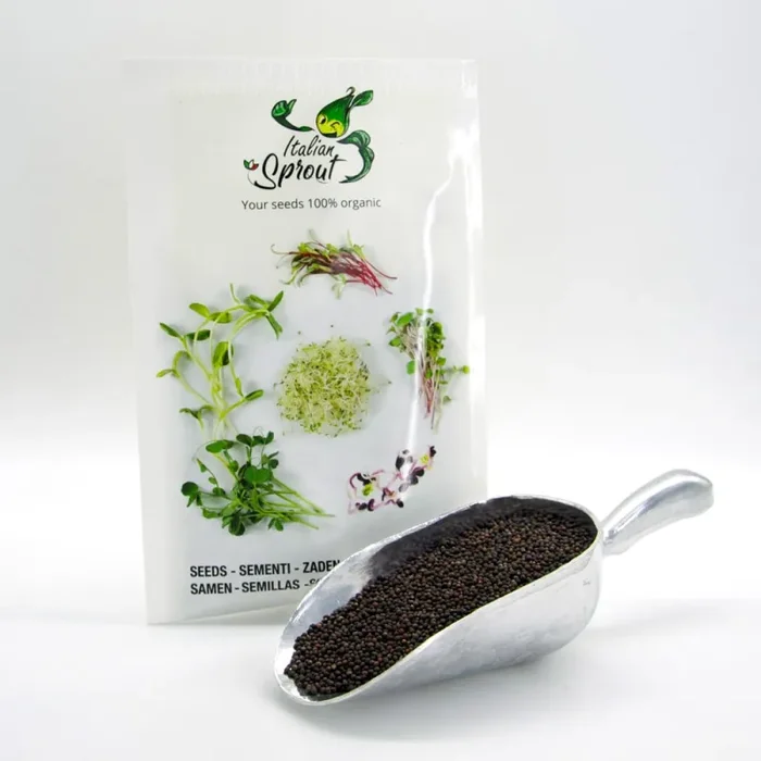 Semi per microgreens – Cavolo rosso Marte Sconti - immagine 3