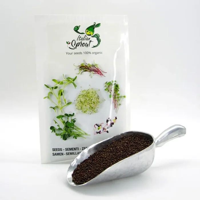 Semi per microgreens – Cavolo Verde Osiride Online ora - immagine 3