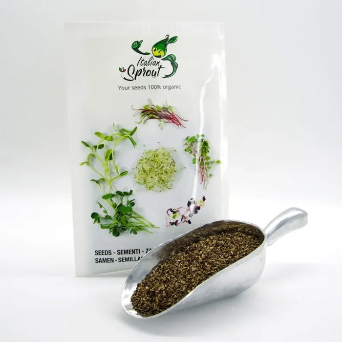 Semi per microgreens – Cicoria a stelo bianco Luke - immagine 3