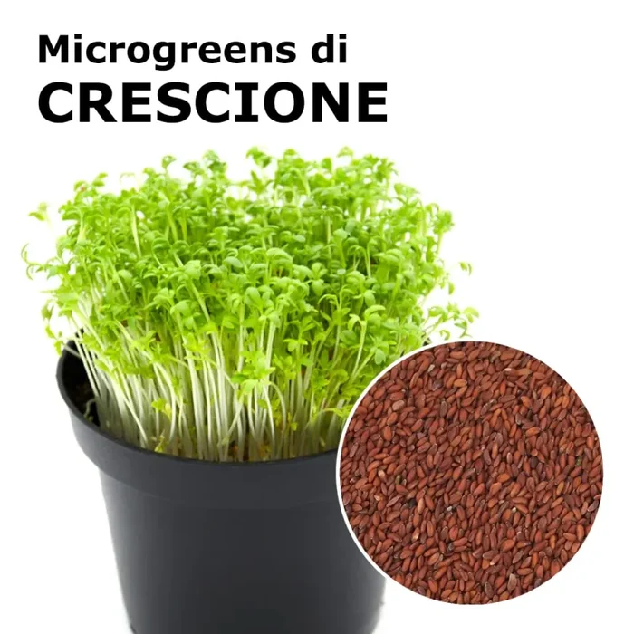 Semi per microgreens – Crescione Romagna Sconti