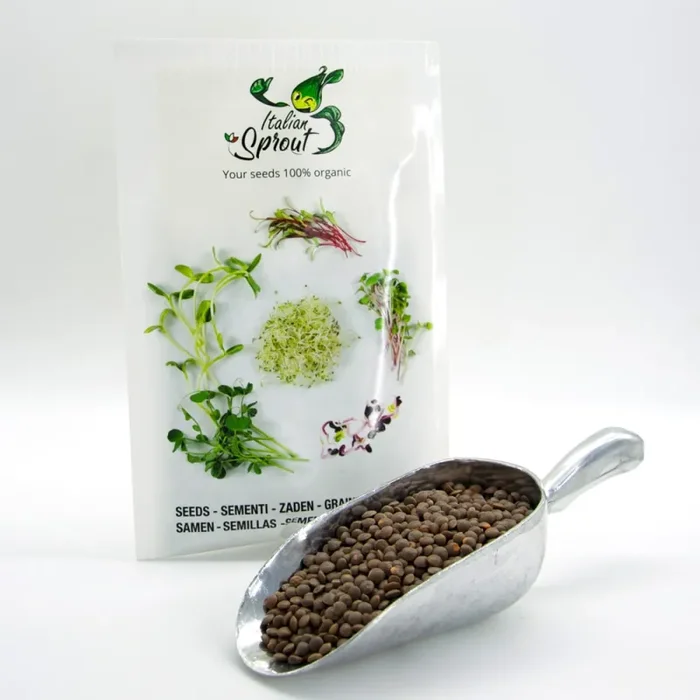 Semi per microgreens – Lenticchie rosse Maranello Vendita calda online - immagine 3