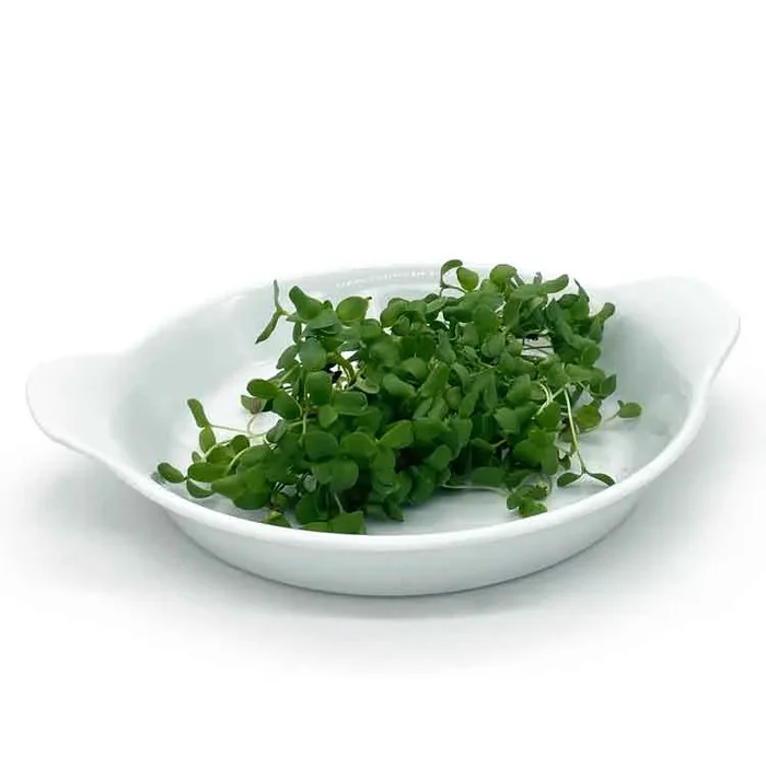 Semi per microgreens – Lino bruno Kabir Saldi - immagine 3