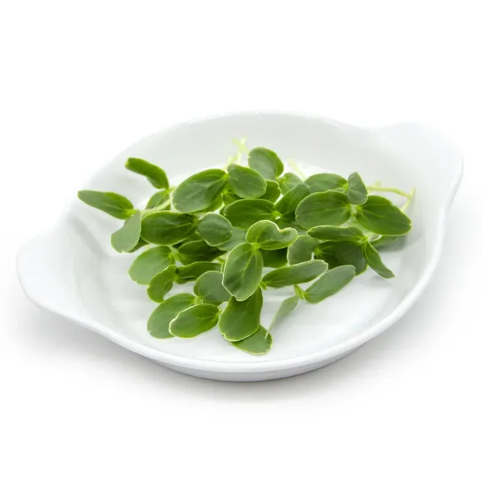 Semi per microgreens – Melone Cantalupo Coco - immagine 3