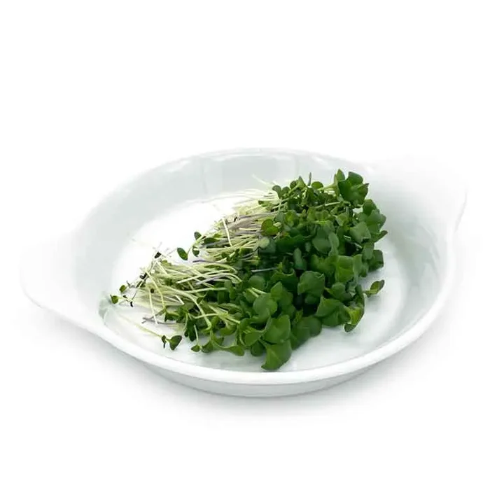 Semi per microgreens – Mix di cavoli Malawi - immagine 2