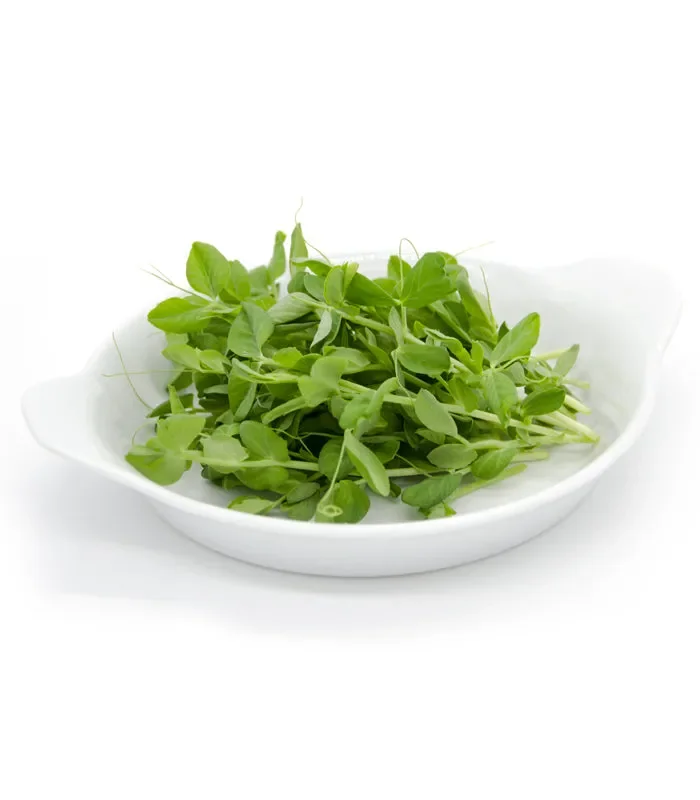 Semi per microgreens – Pisello giallo Hazel - immagine 3