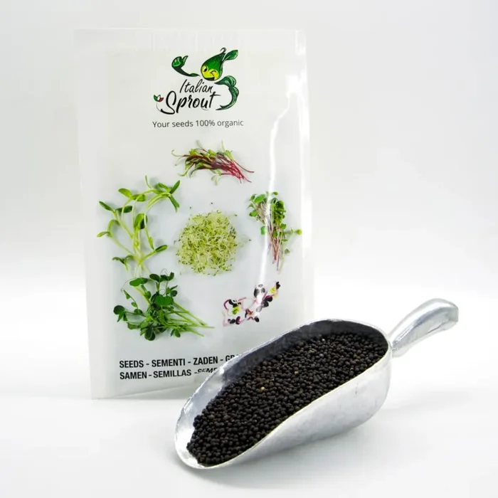 Semi per microgreens – Salvia Bomber Sconti - immagine 3
